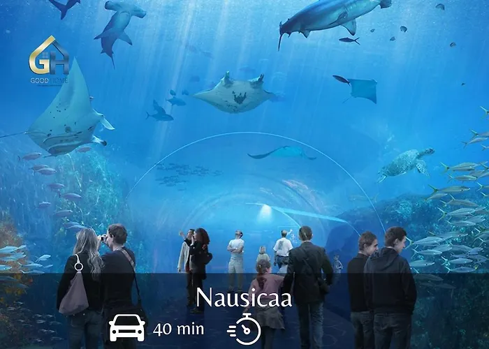 Appartamento Machy - Centre-ville Et Parking Gratuit Bourbourg